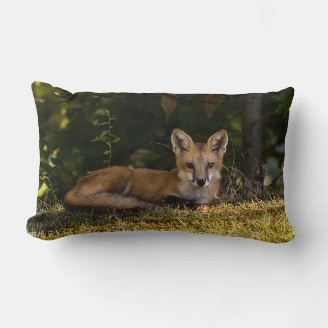 Almofada Lombar Serene Fox (Frente)