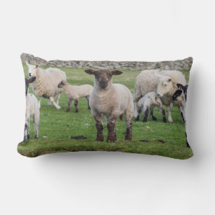 Almofada Lombar Shetland Sheep