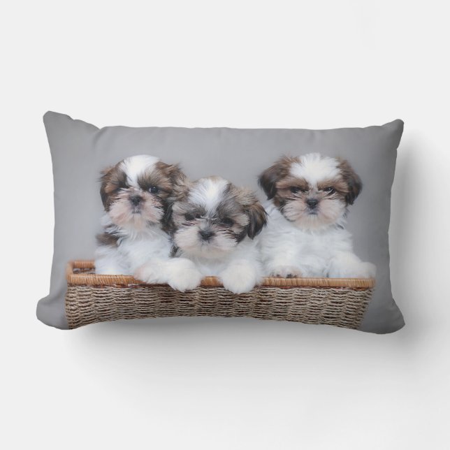 Almofada Lombar Shih Tzu puppies (Frente)
