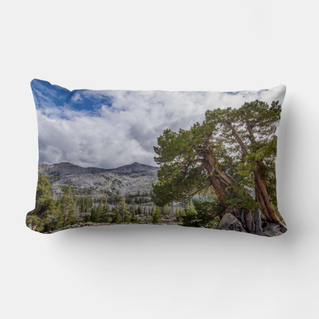Almofada Lombar Sierra Juniper e Árvores Sempre Verdes (Frente)