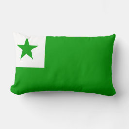 Almofada Lombar Sinalizador Esperanto
