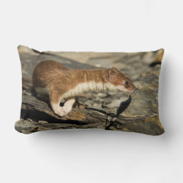 Almofada Lombar Sniffing Weasel