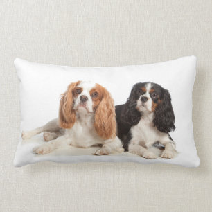 Almofada Lombar Spaniel de rei Charles descuidado