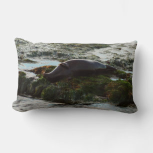 Almofada Lombar Sunset Lit Harbor Seal II em San Diego