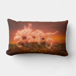 Almofada Lombar Sunset Macro Nature Scene of Moss and Plant 