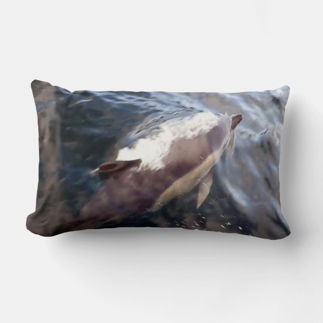 Almofada Lombar Superfície Versível Comum dos Golfinhos (Frente)