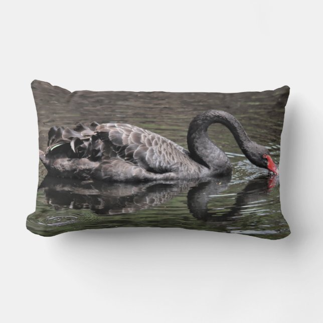 Almofada Lombar Swan Negro (Frente)