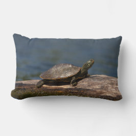 Almofada Lombar Tartaruga pintada em um tronco