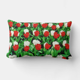 Almofada Lombar Throw Pillow