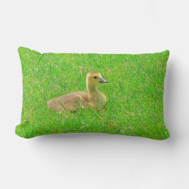 Almofada Lombar Throw Pillow Canada Goose