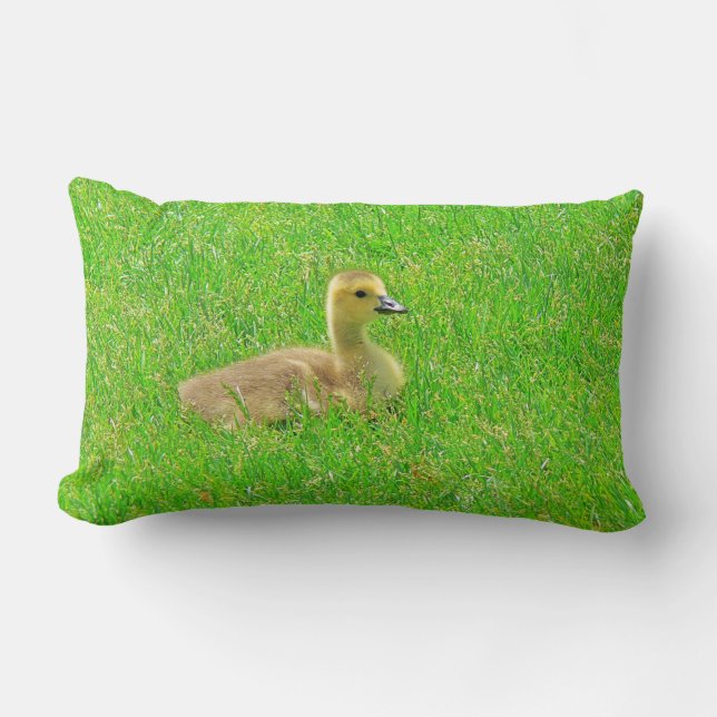 Almofada Lombar Throw Pillow   Canada Goose (Frente)