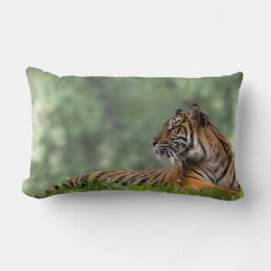 Almofada Lombar Tiger Lounging em Baixo de uma Árvore
