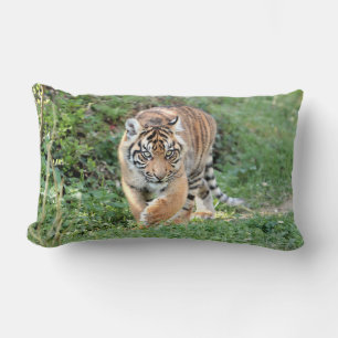 Almofada Lombar Tigre fotográfico, animais. travesseiro decorativ