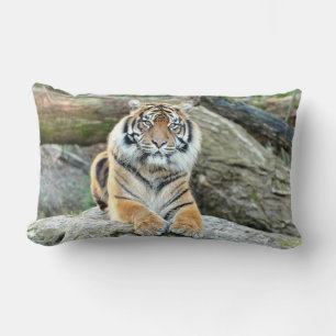 Almofada Lombar Tigre fotográfico, animais. travesseiro decorativ