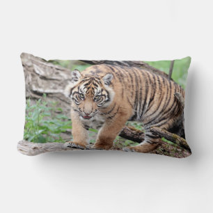 Almofada Lombar Tigre fotográfico, animais. travesseiro decorativ