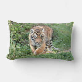 Almofada Lombar Tigre fotográfico, animais. travesseiro decorativo