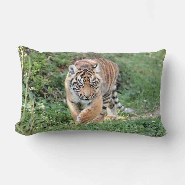 Almofada Lombar Tigre fotográfico, animais. travesseiro decorativo (Frente)