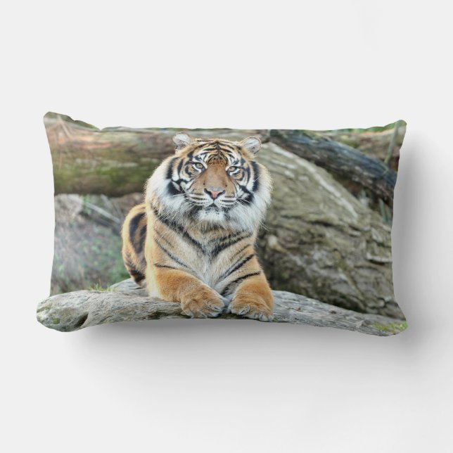 Almofada Lombar Tigre fotográfico, animais. travesseiro decorativo (Frente)
