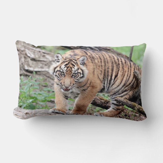 Almofada Lombar Tigre fotográfico, animais. travesseiro decorativo (Frente)