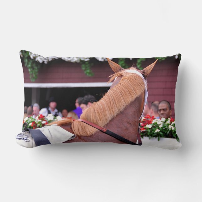 Almofada Lombar "Toda incluídos Flaxen " (Frente)