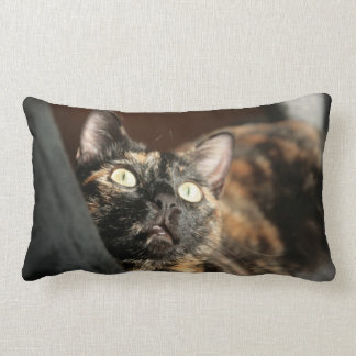 Almofada Lombar tortie cat pillow