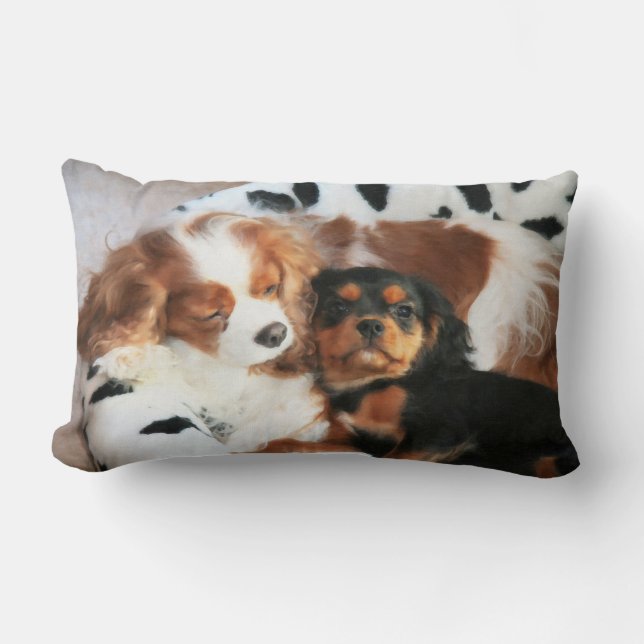 Almofada Lombar Travesseiro Cavalier King Charles Spaniel Cachorro (Frente)
