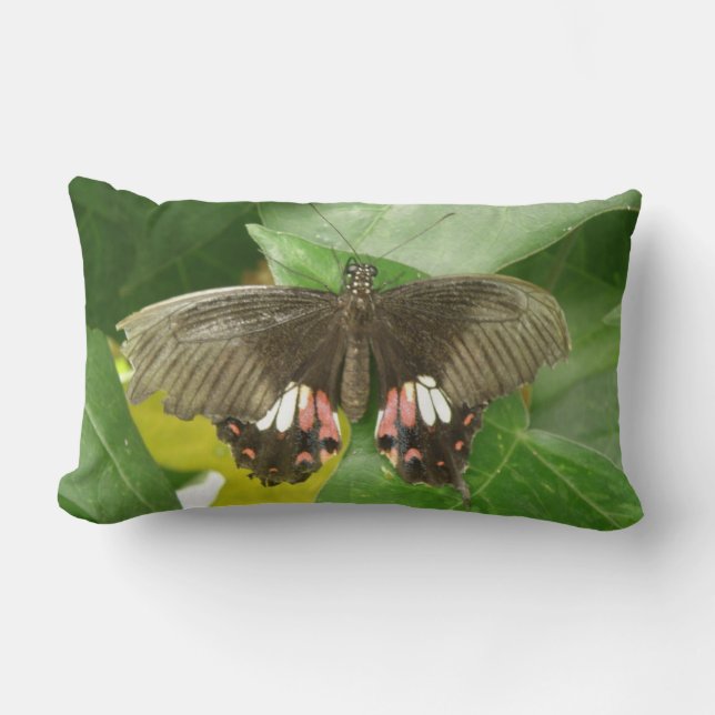 Almofada Lombar Travesseiro da borboleta do Swallowtail de Escarle (Frente)
