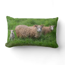 Travesseiro da família dos carneiros