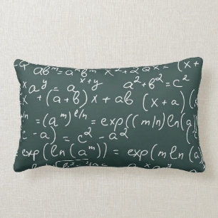 Almofada Lombar Travesseiro da matemática