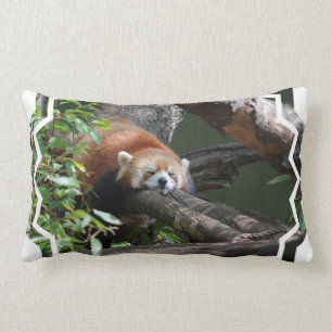 Almofada Lombar Travesseiro da panda vermelha do sono