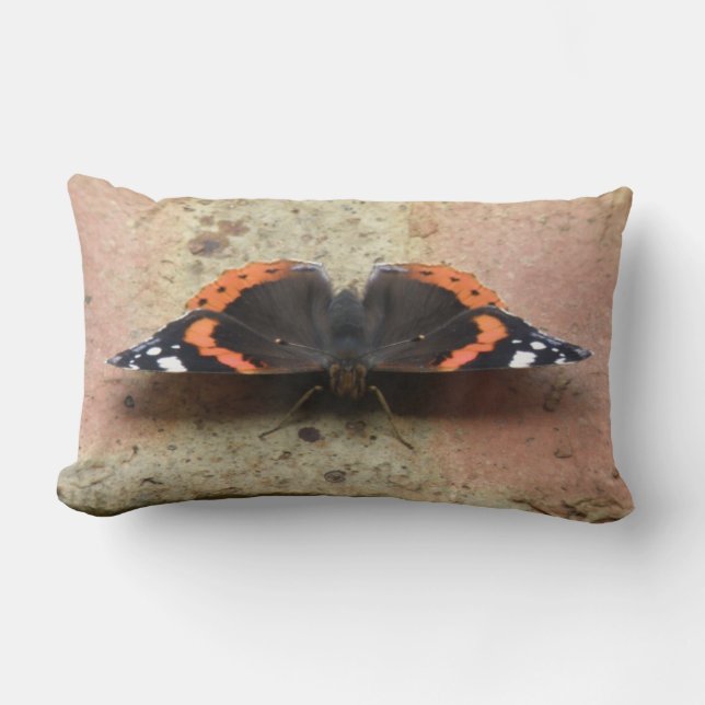 Almofada Lombar Travesseiro de Borboleta do Almirante Vermelho (Frente)