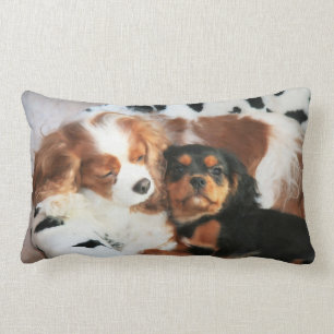Almofada Lombar Travesseiro De Cachorro E Cavalier Rei Charles Spa