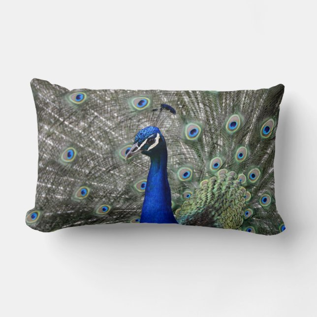 Almofada Lombar Travesseiro de Peacock (Frente)