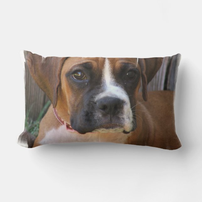 Almofada Lombar Travesseiro de Resgate de Boxer (Frente)