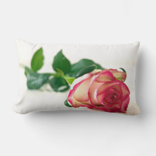 Almofada Lombar Travesseiro decorativo cor-de-rosa do solteiro