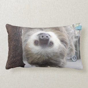 Almofada Lombar Travesseiro decorativo da preguiça