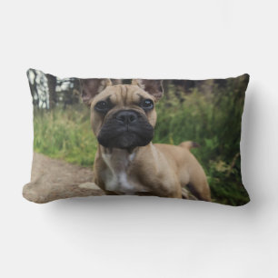 Almofada Lombar Travesseiro decorativo de Buldogue Francês