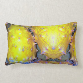 Almofada Lombar Travesseiro decorativo de Fruta do dragão