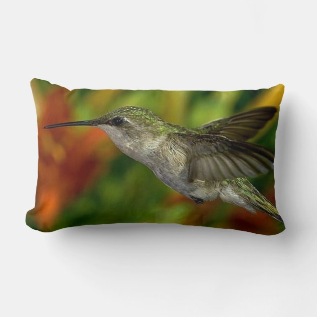 Almofada Lombar Travesseiro decorativo Decorativo Hummingbird (Frente)