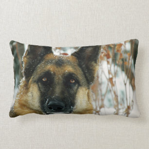Almofada Lombar Travesseiro decorativo do german shepherd