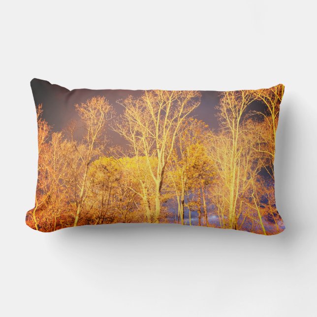 Almofada Lombar Travesseiro decorativo lombar reversível (Frente)