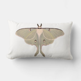 Almofada Lombar Travesseiro decorativo Luna Moth