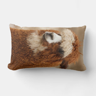 Almofada Lombar Travesseiro decorativo personalizado Brown Alpaca