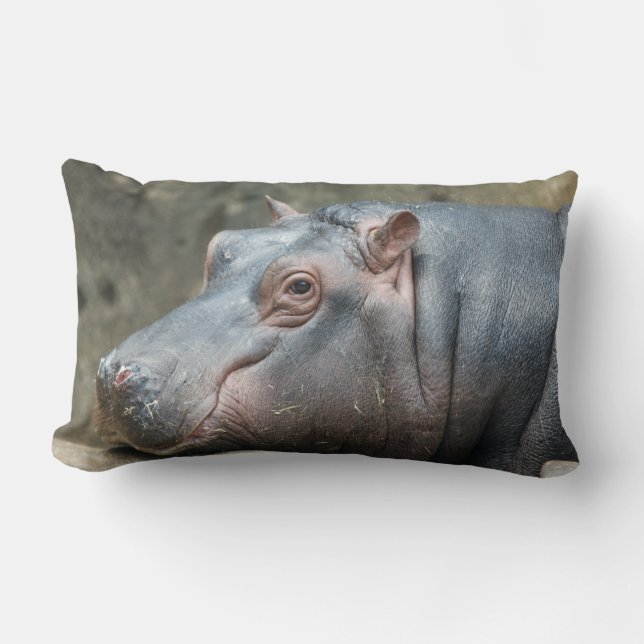 Almofada Lombar Travesseiro decorativo personalizado Hippopotamus (Frente)