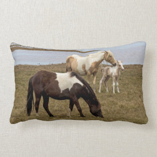 Almofada Lombar Travesseiro decorativo Sunburst