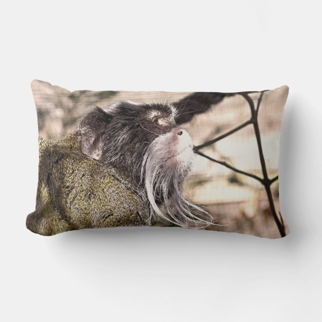 ALMOFADA LOMBAR TRAVESSEIRO DECORATIVO TAMARIN MONKEY (Frente)