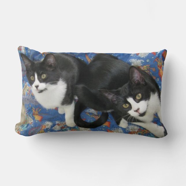 Almofada Lombar Travesseiro decorativo Twin Tuxedo Kittens (Frente)