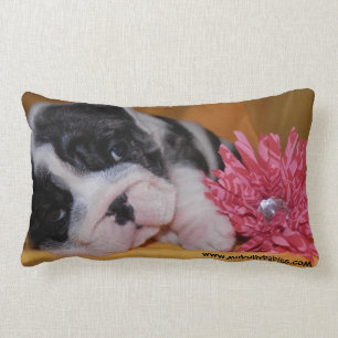 Almofada Lombar Travesseiro do buldogue do amor da intimidação