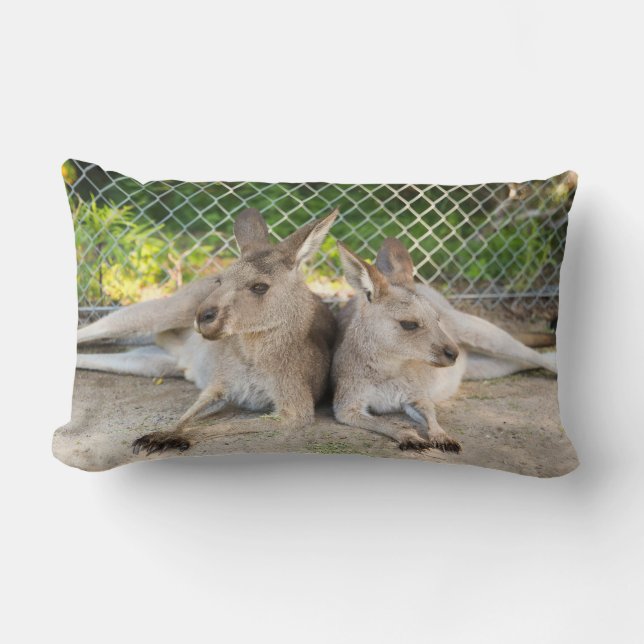 Almofada Lombar Travesseiro do canguru (Frente)