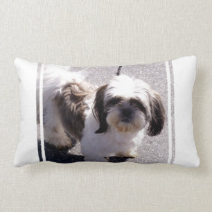 Almofada Lombar Travesseiro do filhote de cachorro do Tsu de Shih